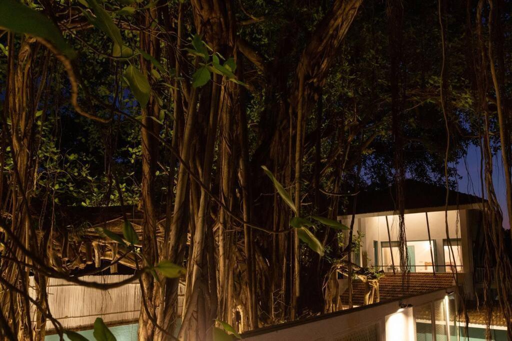 White Banyan Beach Villa, Candolim By The Acacia Villas Luaran gambar