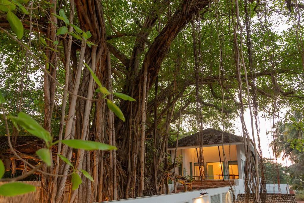 White Banyan Beach Villa, Candolim By The Acacia Villas Luaran gambar